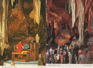 The Great Stalecpipe Organ Luray Caverns Virginia USA 2x Postcard s