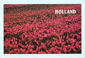 Greetings From, Holland  