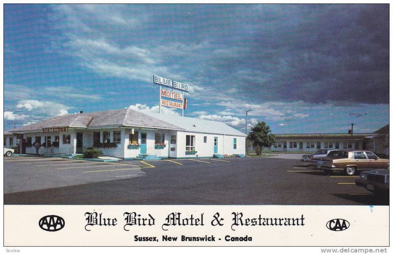 Blue Bird Motel , SUSSEX , New Brunswick , Canada , 50-60s