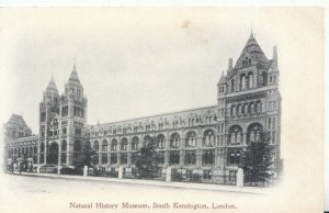 London Postcard - National History Museum - Kensington - Ref TZ408