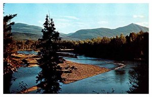 Postcard MOUNTAIN SCENE Pine Valley British Columbia BC AU3004