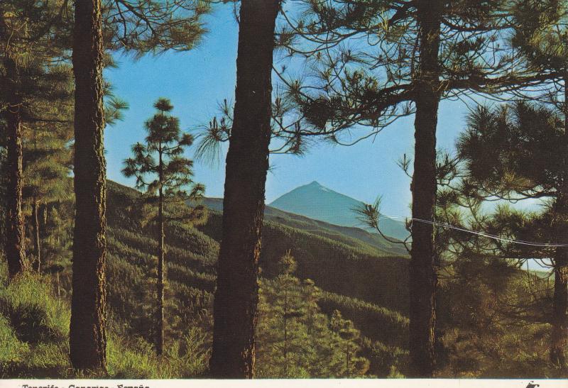 Postal 60084: El Teide al atardecer (Tenerife)