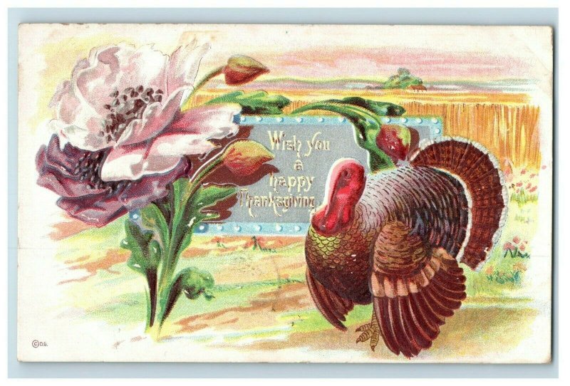 c.1910 Fab Poppy Poppies Turkey Thanksgiving Vintage Postcard P51 