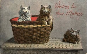 Fluffy Gray Kittens Kitty Cats Waiting for Their Mistress c1910 Postcard