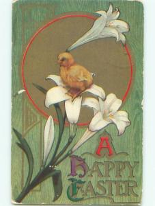 Divided-Back EASTER CHICK SCENE Cute Postcard AA1006