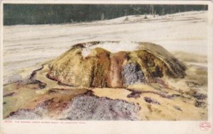 The Sponge Upper Geyser Basin Yellowstone National Park Detroit Publishing