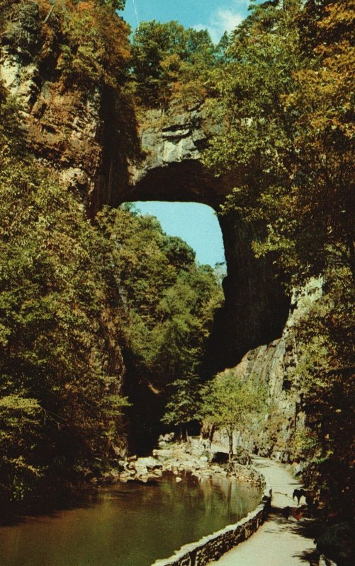 Postcard Summer In Natural Bridge Lee Highway Natural Bridge Structure Virginia 