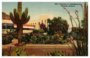 Postcard HOTEL SCENE Phoenix Arizona AZ AR6298