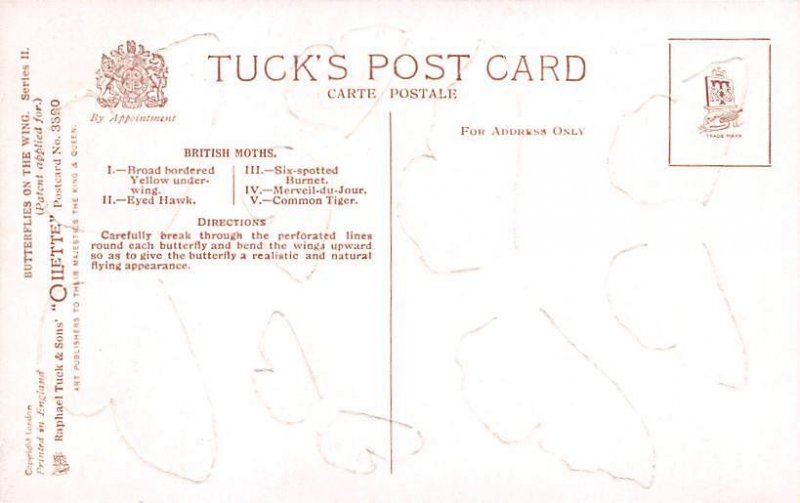 British Moths British Moths