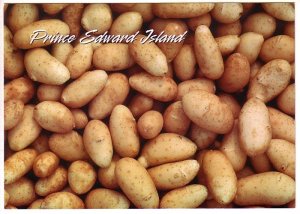 OVERSIZE Fresh Potatoes, Prince Edward Island