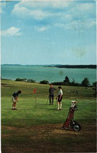 PC GOLF, SPORT, ST. ANDREWS GOLF COURSE, Modern Postcard (b45988)