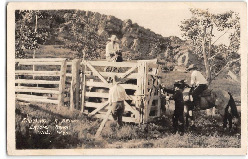 RPPC Wolf, Wyoming EATON'S RANCH Cowboys Horses 1910s Antique Photo Postcard