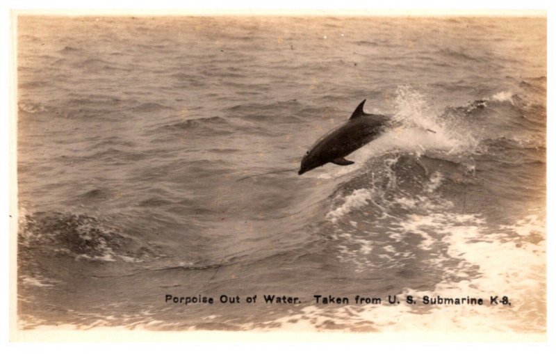 Porpoise Out of Water, picture taken from U.S Submarine K.8