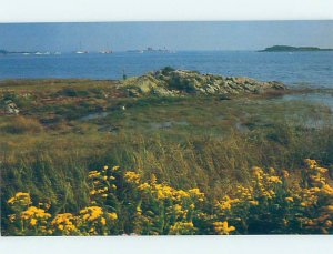 1980's NATURE SCENE Cape Porpoise - Kennebunkport Maine ME AD2470