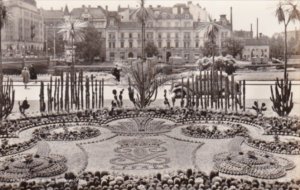 Sweden Norrkoping Cactus Garden Real Photo
