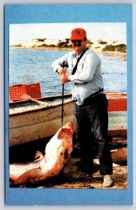 California~Viba~Fishing Heres Great~Fisherman w/Big Catch~Boat~1950s Postcard