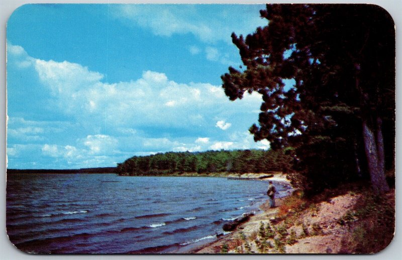 Vtg Greetings from West Branch Michigan MI Along The Lake Shore 1950s Postcard