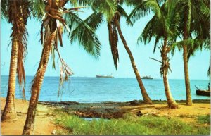 postcard Maracaibo Venezuela - Maracaibo Lake - view through palm trees