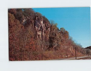 Postcard View Looking North Mississippi River Bluffs Savanna Illinois USA