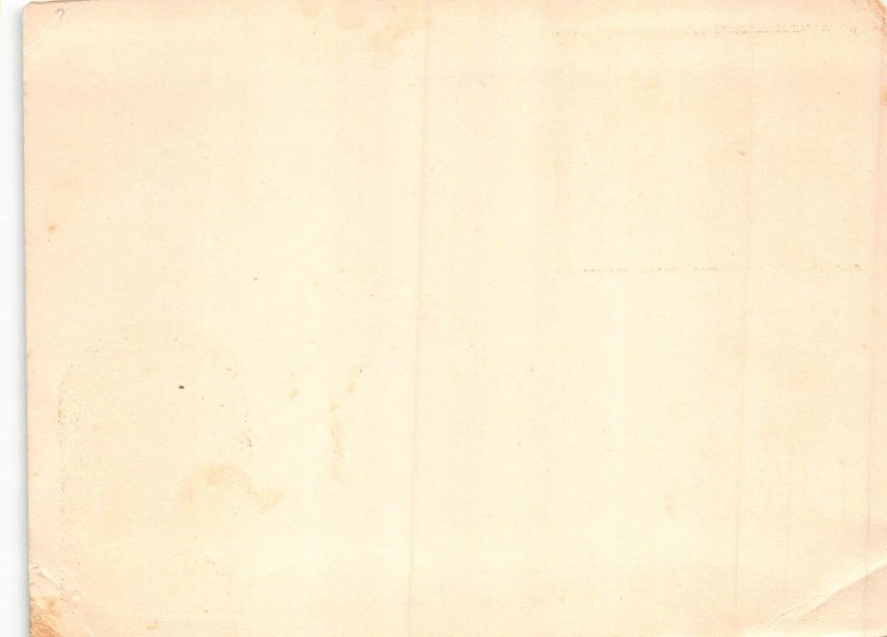 L037 Algeria Alger advertising card camel