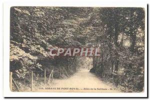 Port Royal Abbey Old Postcard Allee loneliness