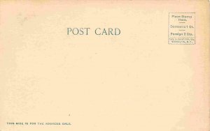 Burton Avenue Rockledge Florida 1905c Albertype postcard