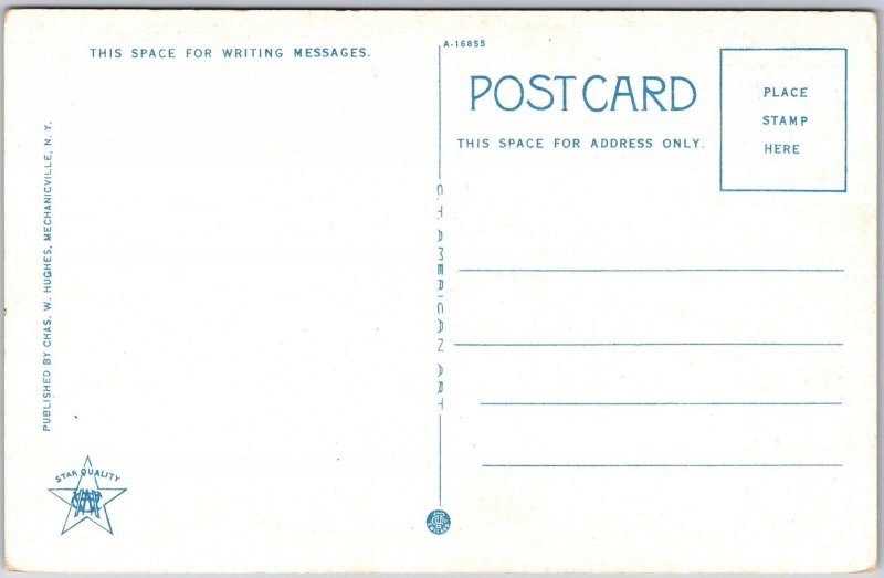Hurricane Mountain Elizabethtown New York NY Adirondacks 3763 ft. Postcard
