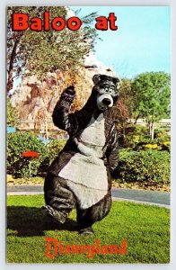 Vintage Baloo at Disneyland, Fantasyland Postcard