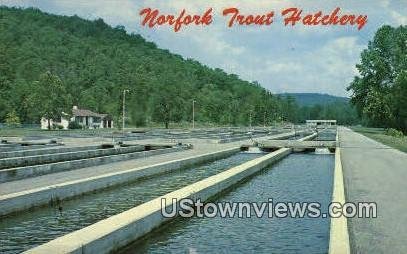 Norfork Trout Hatchery - Norfork Dam, Arkansas AR