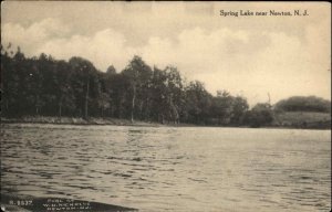 Newton NJ Spring Lake Panoramic View c1910 Vintage Postcard