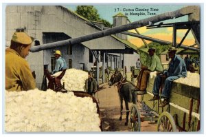 1951 Cotton Ginning Time Loaded Donkey Wagon Delivery Memphis TN Posted Postcard