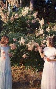 McKee Jungle Gardens - Vero Beach, Florida FL