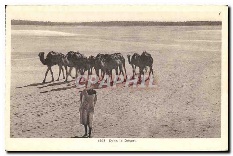 Old Postcard Camels in the Desert