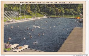 Municipal Swimming Pool In Cleveland Park, GREENVILLE, South Carolina, PU-1961