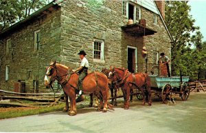 Amish Horse Drawn Wagon bringing grain to mill in Lancaster, PA 