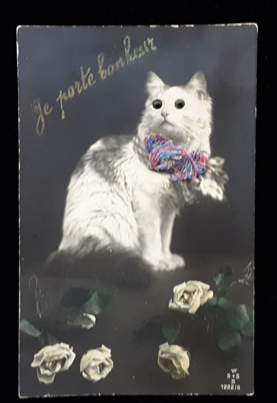 Postcard Cat Bead Beady Google eye Added Ribbon Roses Novelty France c1910