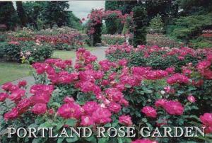 Oregon Portland Washington Park Rose Garden