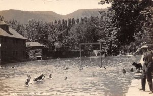 Glenwood Springs Colorado Swimming Pool Real Photo Vintage Postcard AA108493