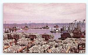 NAHCOTTA, Washington WA ~ Mooring Basin WILLAPA BAY Oyster Industry  Postcard