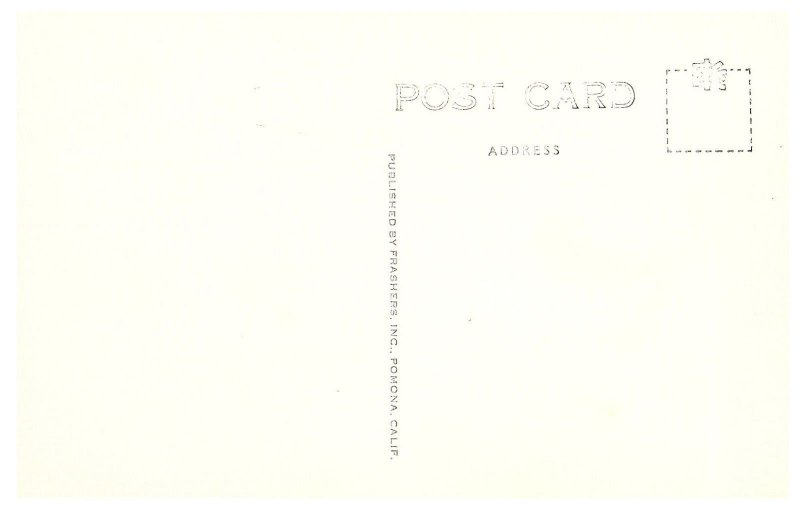 RPPC Postcard Fern Dell Griffith Park Los Angeles California