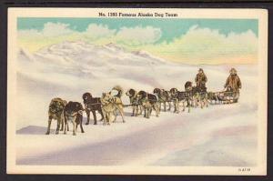 Famous Alaska Sled Dog Team Post Card 5021