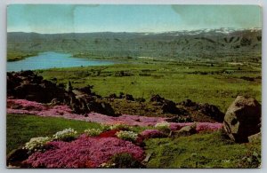 Union Oil Company - Scenes of The West - 76 Gasoline - Wenatchee Valley