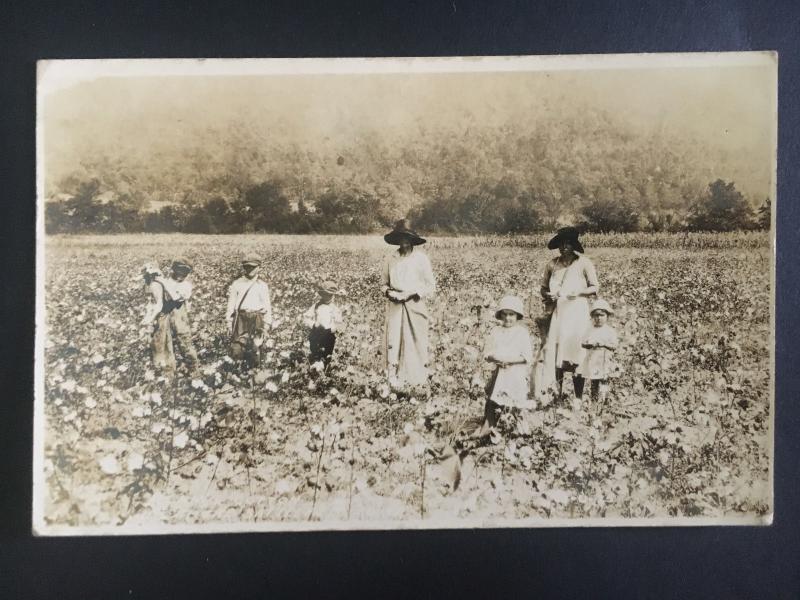 RPPC Real Picture Postcard Georgia USA White Women Children Picking Cotton Cover