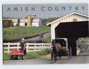 Postcard Amish Country, Pennsylvania