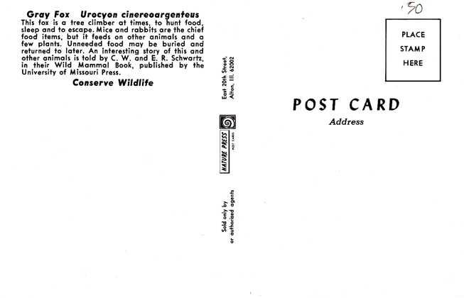 Gray Fox - Published by the Nature Press