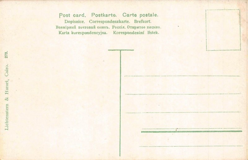L382 Egypt Suez Panoramic view vintage postcard
