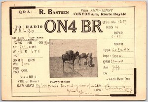 Radio Card ON4BR  R. Bastoen Villa Anny-Jenny Amateur Radio Station Postcard