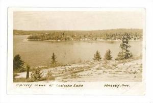 LP67   Ontario, Ont., Canada, postcard, Massey, Locloche 