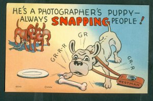 USA. 1940s Comic, Photograph,Dog. He`s A Photographer's Puppy-Always Snapping 