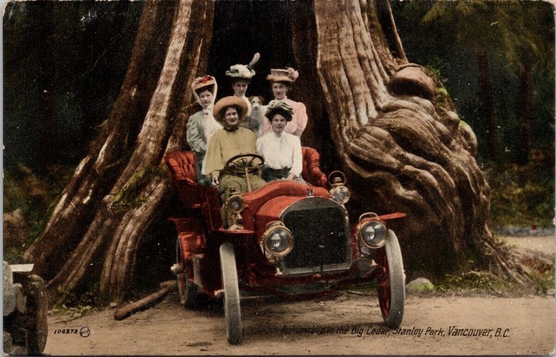 Vancouver BC Big Hollow Tree Stanley Park Women Automobile Cedar Postcard H25
